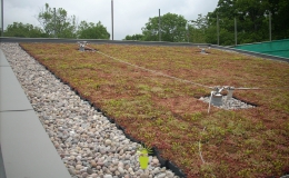 Green Roofs (1)