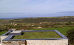 Green Roofs (12)