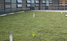 Green Roofs (13)