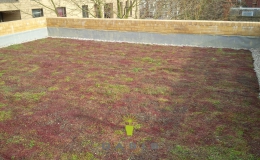 Green Roofs (18)