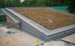 Green Roofs (6)
