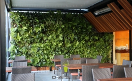 The George Hotel - Oasis Living Wall